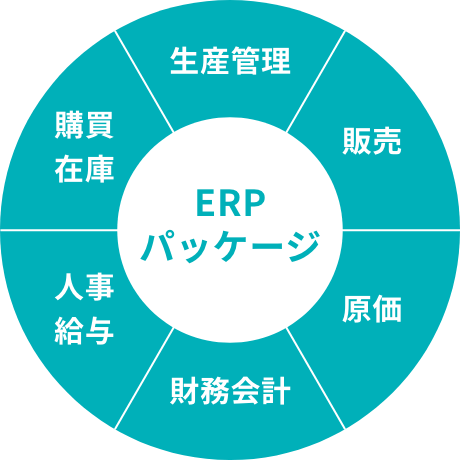 ERPシステム構築の第一人者