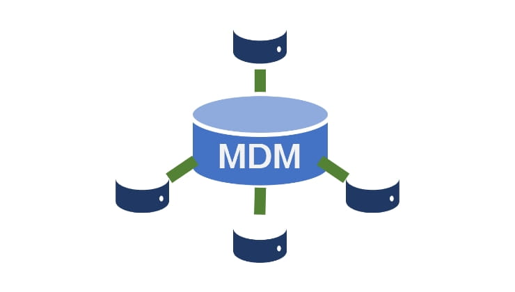 Master data management implementation support service