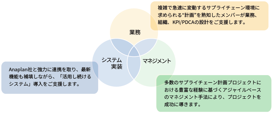 Anaplanを用いたコンサルティングサービス