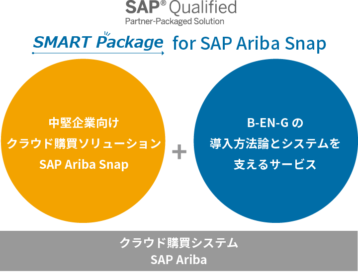 SMART Package for SAP Ariba Snap