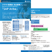 “SAP Ariba” leaflet