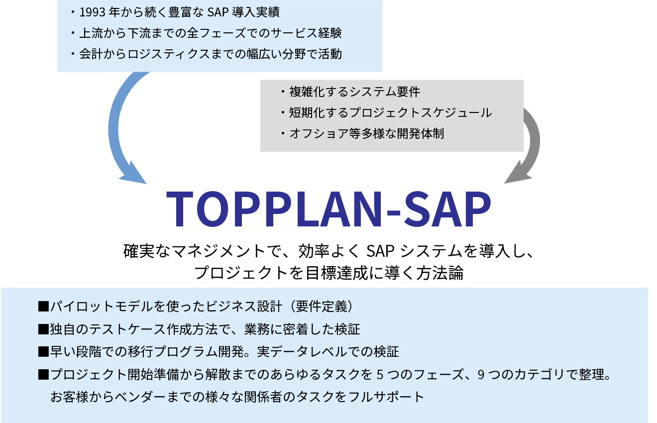 Features of TOPPLAN-SAP